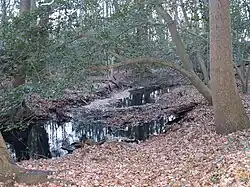 Picture of Iron Branch in Delaware