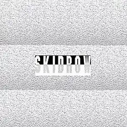 In the middle is the text displaying "Skid Row" in a border. In the top half of the border, the text is white and the background is black. In the bottom half, the text is gray and the background is white. The entire border is in front of a static screen.