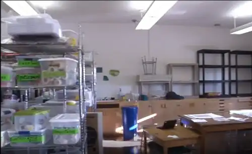 The project room of the Harvey Street School. Shown here is the storage area for general supplies on the left, a sink in the background, and drying/storage racks for painted and fragile works on the right.