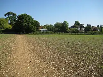 ploughed field