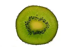 A kiwifruit