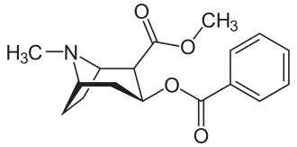 Cocaine, a precursor for anatoxin-a synthesis.