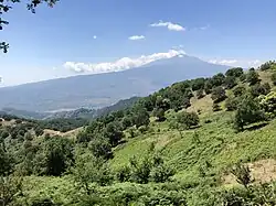 Bosco di Malabotta Nature Reserve
