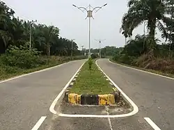 A road and palm oil plantation in Subulussalam