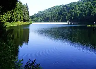 A body of water with trees in the distance.