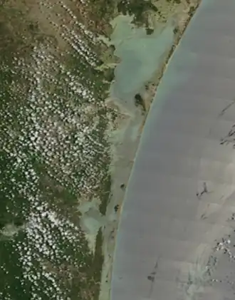 Laguna Madre from a satellite
