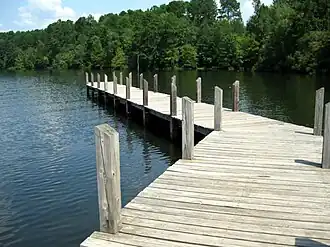 A pier extending out into the swamp