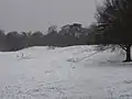 Landseer Park with snow, February 2009