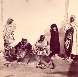 The lion of the marabout, 1864.