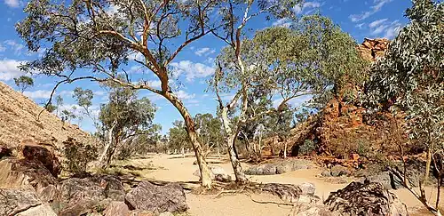 Leaving Simpsons Gap
