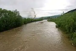 The Vișeu River in Leordina