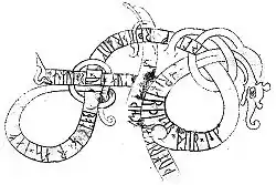 A line drawing of runic inscriptions on the Piraeus Lion, with ornate, swirling patterns.
