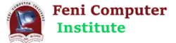 Feni Computer Institute