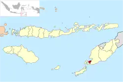 Location within East Nusa Tenggara