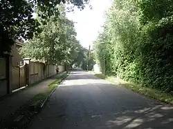 Warren Road looking north from Coombe Neville