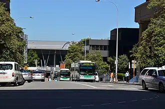 Buses and cars on a road between trees