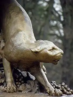 A close-up of the leopard