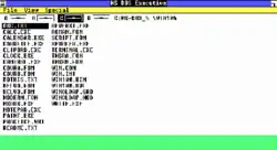 A screenshot showcasing MS-DOS Executive