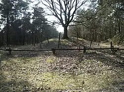 Hilversum culture burial mound