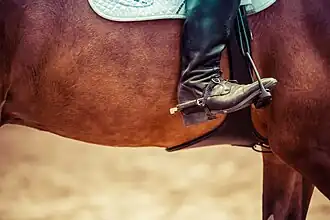 A spur added to a rider's boot