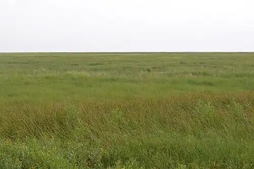 Marshes and grasslands seen from the Cattle Walk Trail, Texas Point National Wildlife Refuge