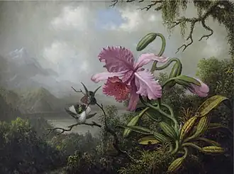 Orchid and Hummingbirds near a Mountain Lake, c. 1870–1890, McMullen Museum of Art