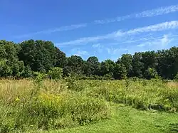 Experimental Meadow at Meadowlark Gardens