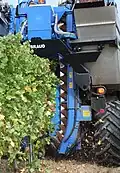 A Braud grape harvester shaking the grape vines to remove berries during harvest in Lombardy (Italy)