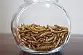 Freeze-dried mealworms as food (or food ingredient)