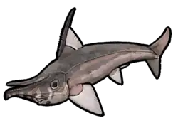 Metopacanthus bollensis