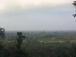 Aerial view of the Petén–Veracruz rainforest