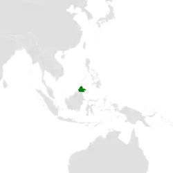 Borneo