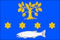 Flag of Mladé Buky