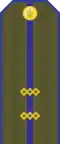 Mongolian Army-Sergeant-service 1990-1998