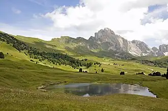 A body of water surrounded by green grass and with mountains in the distance.