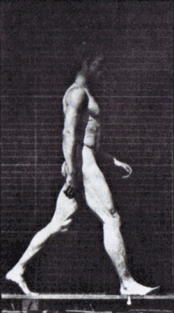 An 1887 stop-motion of a human walking.