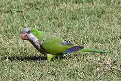 San Juan, Puerto Rico