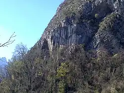 Rocky walls ending in a cave, practically overgrown with vegetation.
