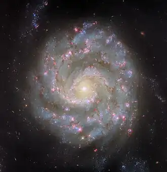 A spiral galaxy viewed face-on, with a slightly oval-shaped disc. The center is a bright white spot surrounded by a golden glow. Two spiral arms extend out from the center, wrapping around the galaxy and broadening out to form the thick outer edge of the disc. Thin reddish strands of dust and bright pink spots follow the arms through the disc. Faint strands of stars extend from the arms’ tips, out beyond the disc.