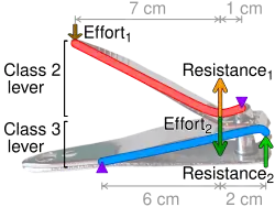 Levers of a compound-lever clipper; purple triangles denote the fulcra