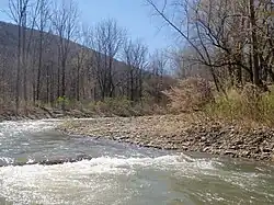 There Is A Creek Of Water At A Angle And Turns Right In The Wood's.