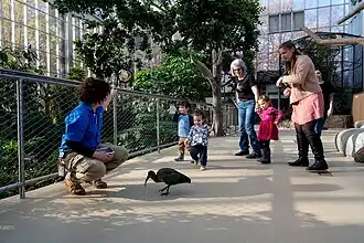 Guests attending a feeding in the Wetlands Habitat.