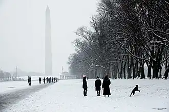 Image 86The Mall following a snow storm (from National Mall)