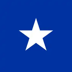 Chilean Ensign