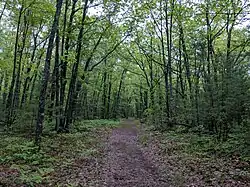 The main hiking trail out of the parking lot