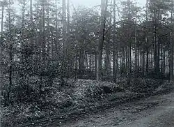 The railway before 1920 (Chemin des Deux Montagnes)[2]