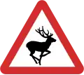 B27: Deer ahead