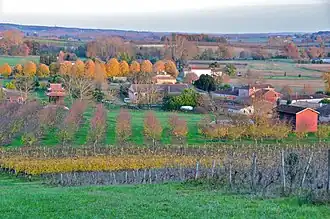 Another image of New Hamlet