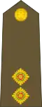 Lieutenant