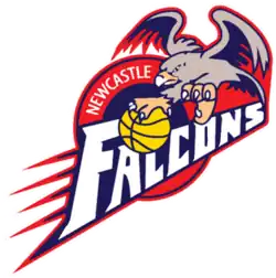 Newcastle Falcons logo
